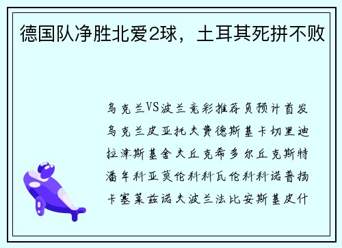 德国队净胜北爱2球，土耳其死拼不败